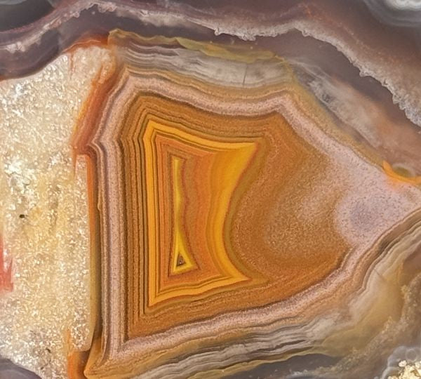 Achat Marokko Agouim Agate Morocco    #A5-1#