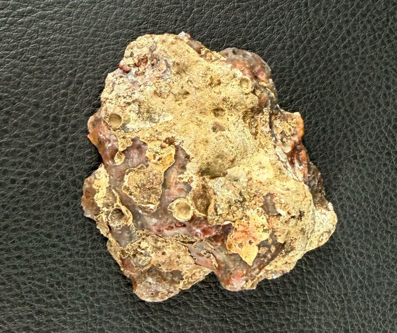 Achat Argentinien San Rafael CONDOR Agate Argentina #A8-11#