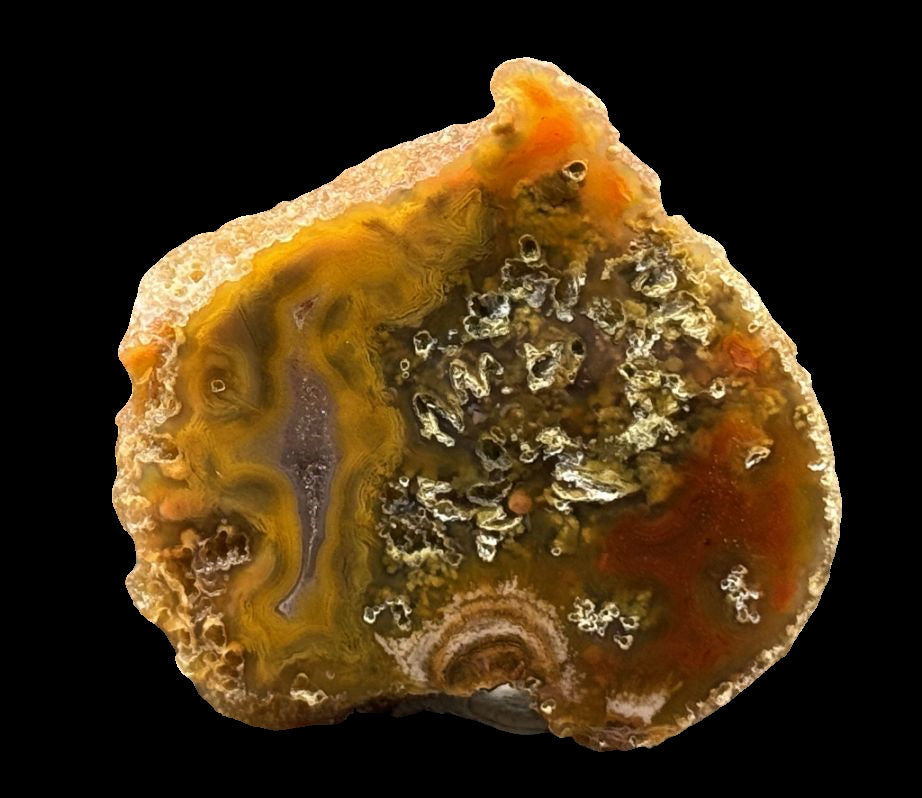 Achat San Rafael Argentinien CONDOR Agate Argentina #A2-23#