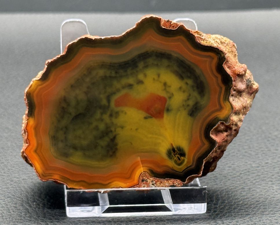 Achat San Rafael Argentinien CONDOR Agate Argentina #A2-28#
