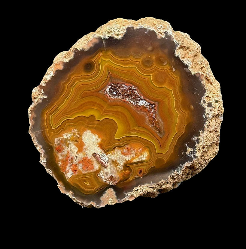 Achat Marokko Agouim Agate Morocco   #A1-9#