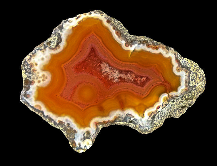 4 x Achat Argentinien San Rafael CONDOR Agate Argentina  #A7-2#