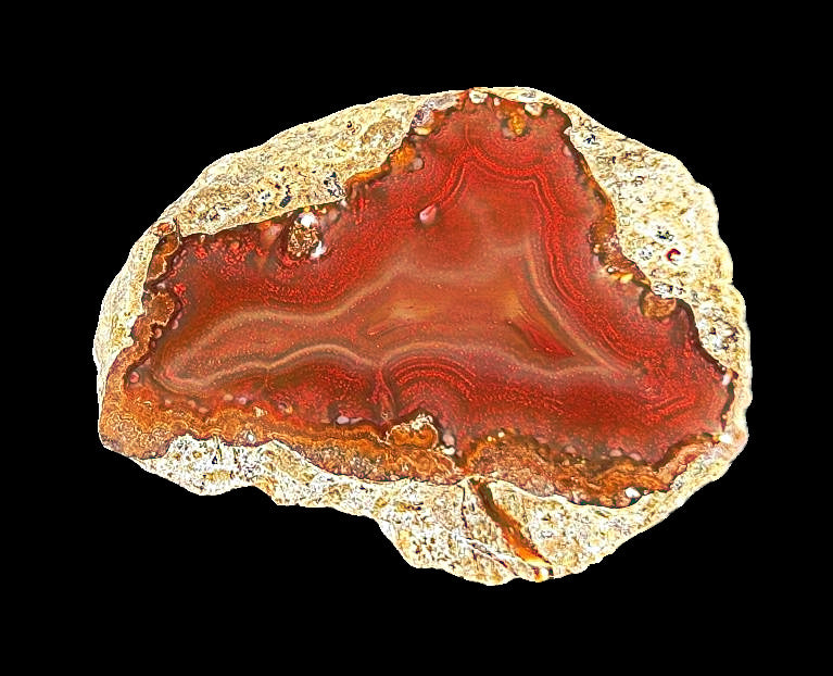 4 x Achat Argentinien San Rafael CONDOR Agate Argentina  #A7-4#