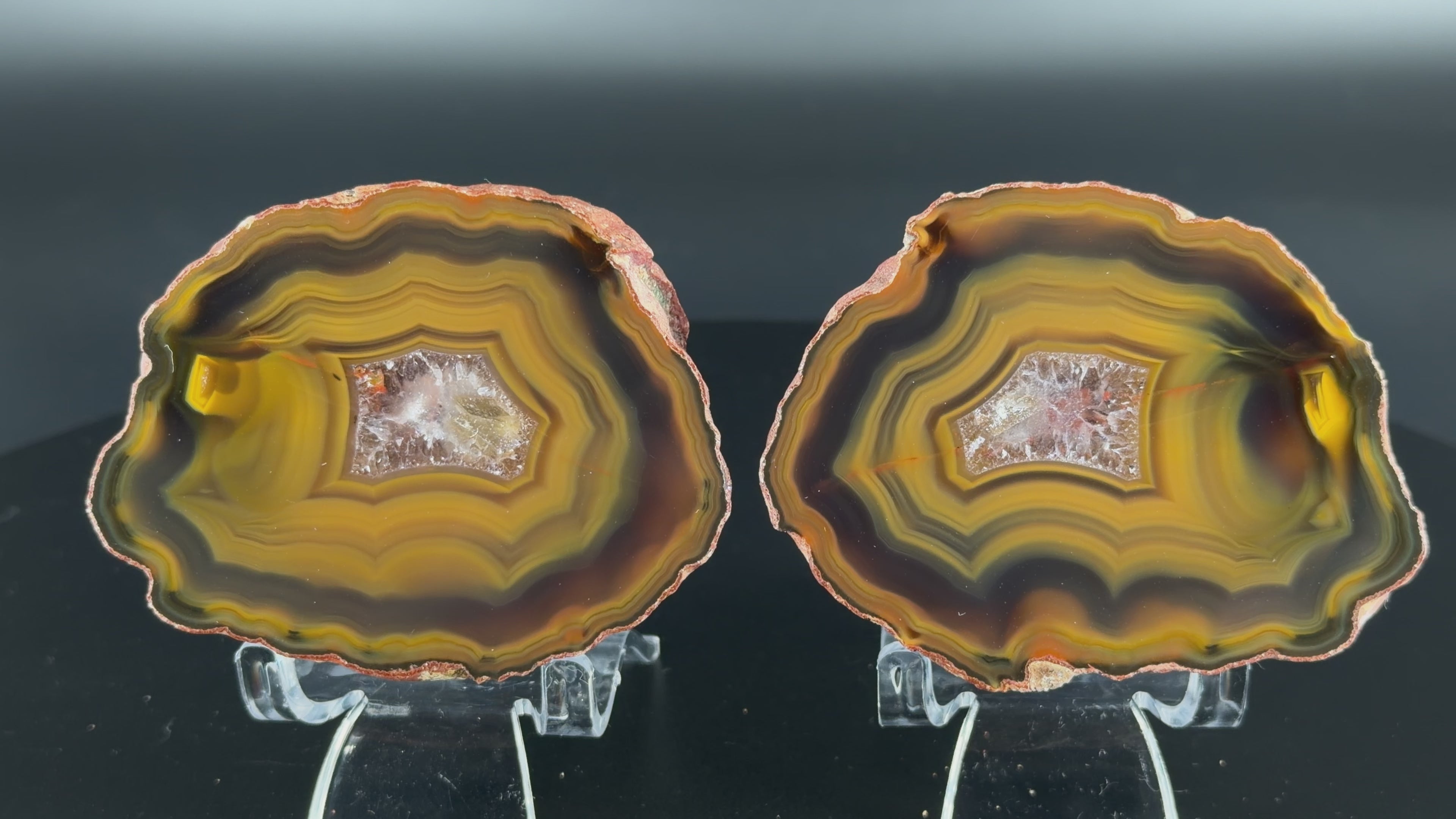 Achat Paar Argentinien San Rafael CONDOR Agate Argentina #A9-5#