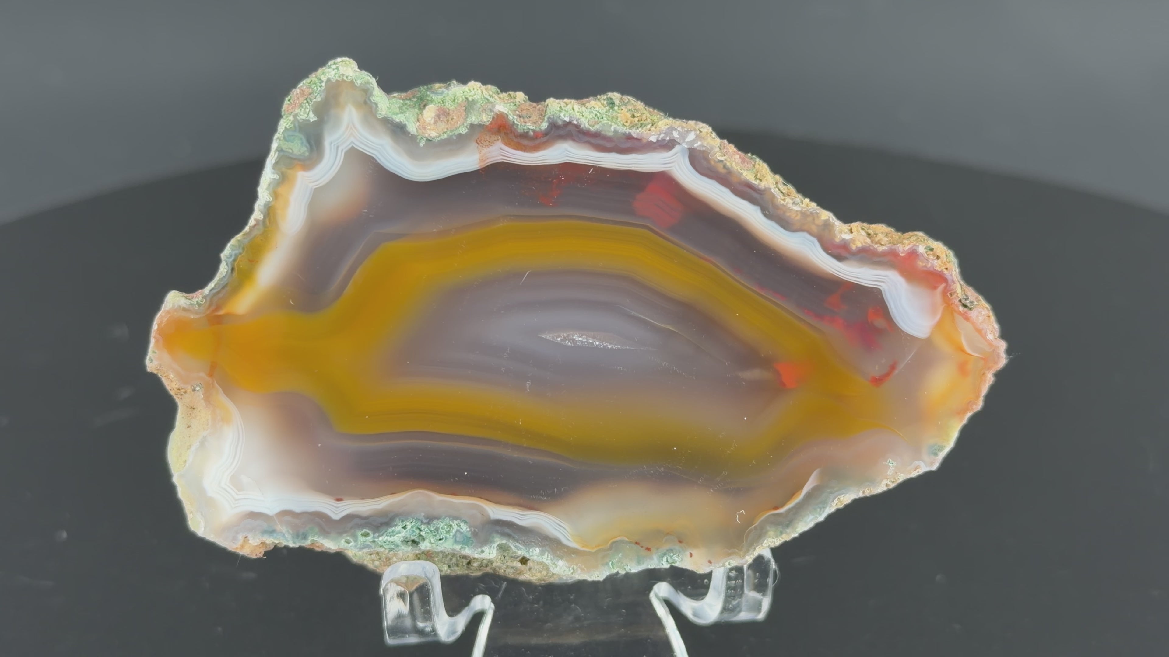 Achat Argentinien San Rafael CONDOR Agate Argentina #A9-9#