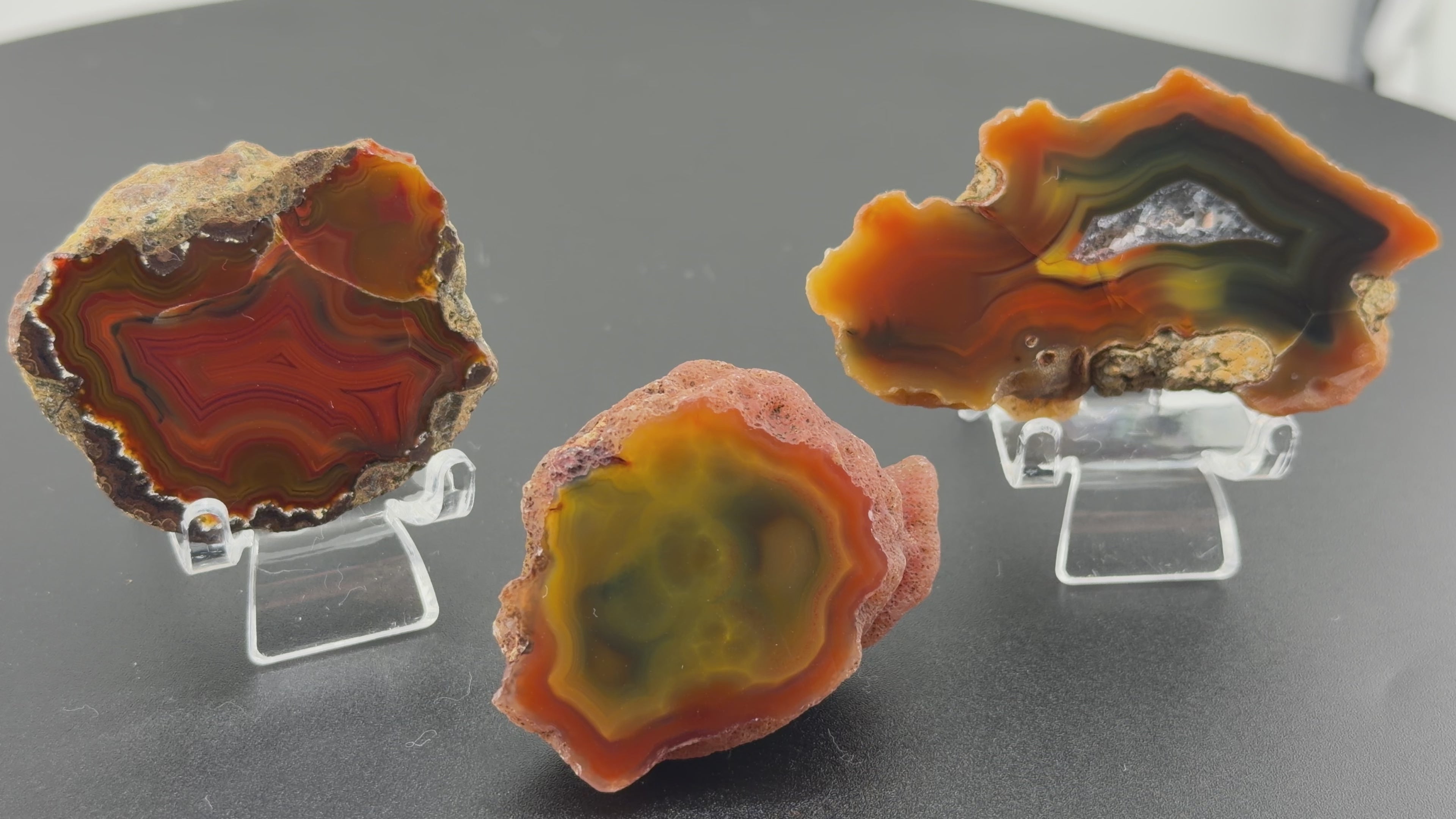 3 x Achat Argentinien San Rafael CONDOR Agate Argentina #A11-1#
