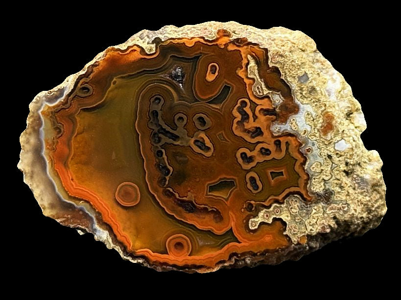 Achat Marokko Agouim Agate Morocco   #A2-5#