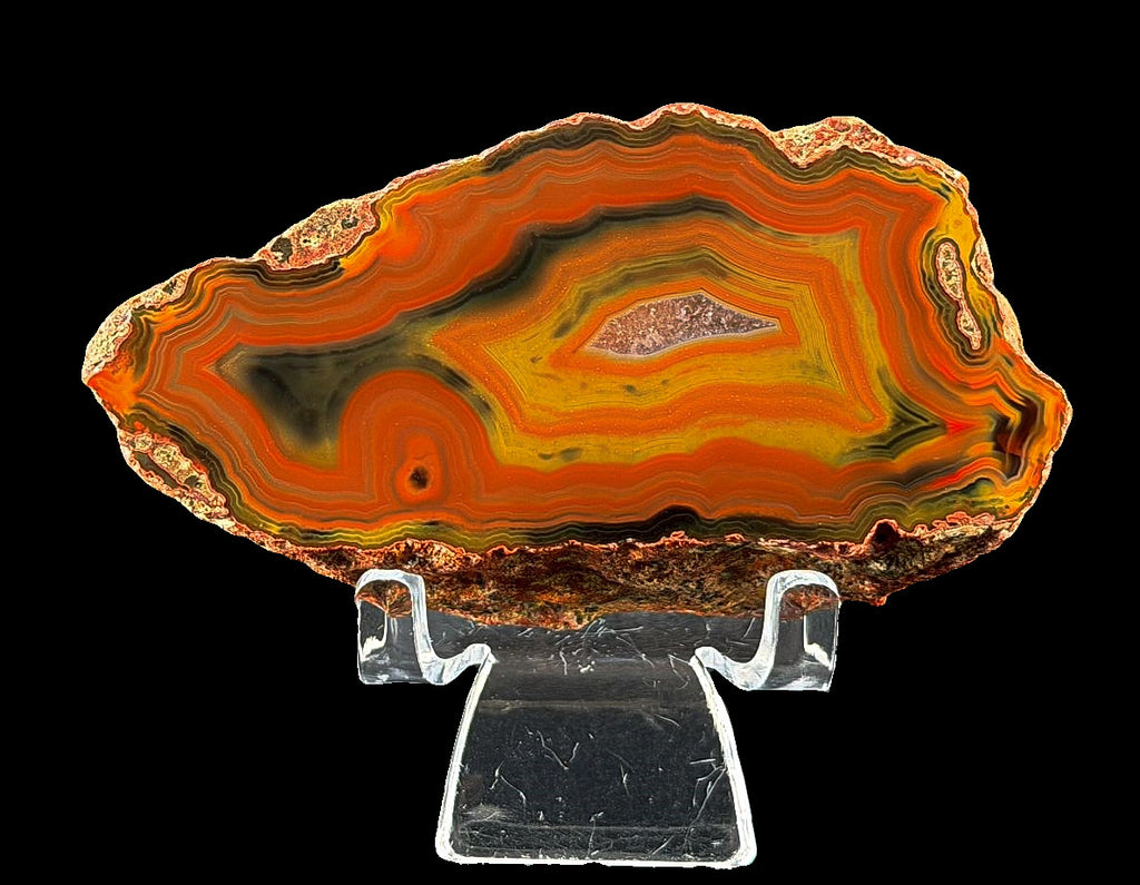 Achat Argentinien San Rafael Condor Agate Argentina #A8-6#