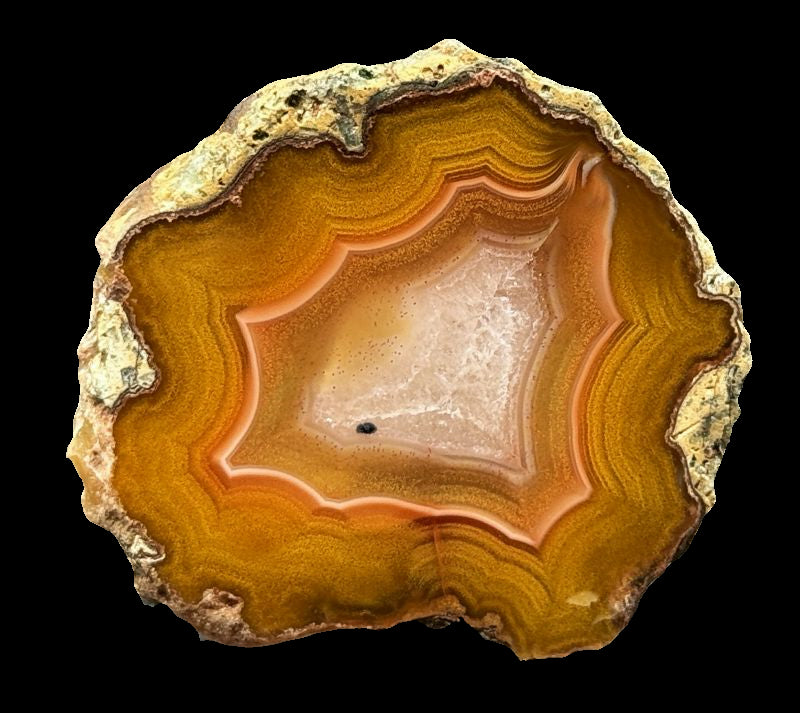 Achat San Rafael Argentinien CONDOR Agate Argentina  #A2-12#