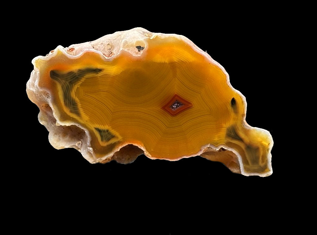 Achat San Rafael Argentinien CONDOR  Agate Argentina  #A2-17#