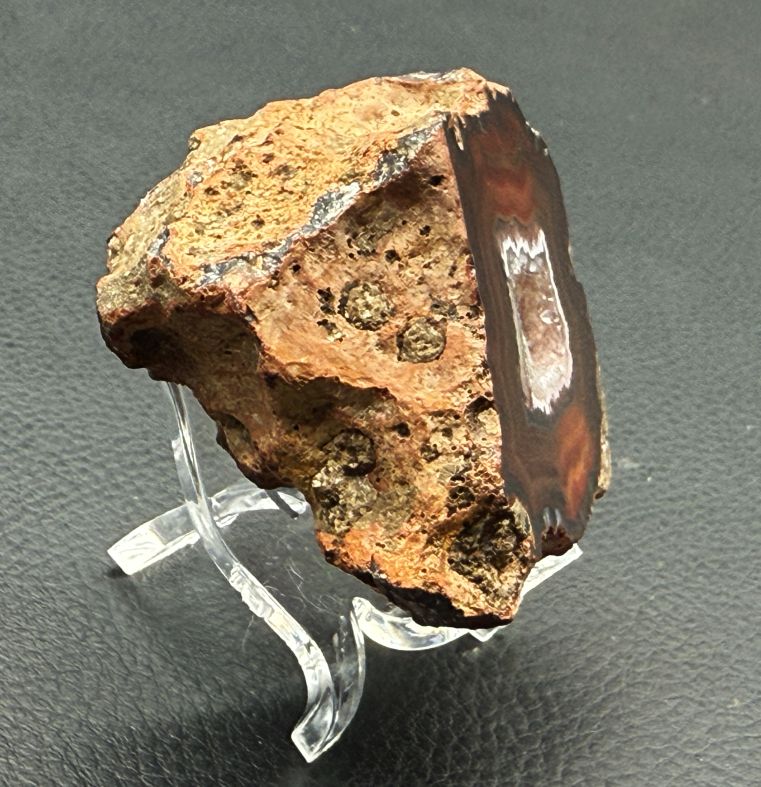 Achat San Rafael Argentinien CONDOR Agate Argentina #A3-3#