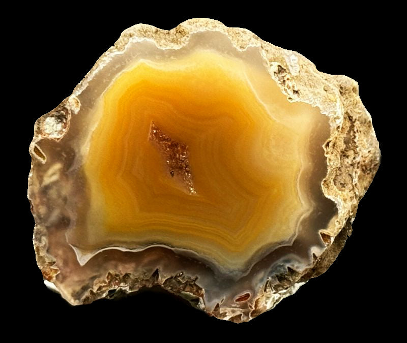Achat San Rafael Argentinien CONDOR Agate Argentina   #A2-19#