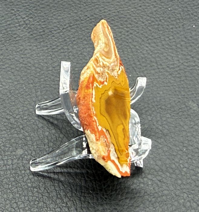 Achat San Rafael Argentinien CONDOR Agate Argentina  #A2-22#