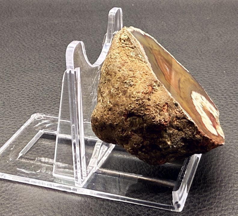 Achat San Rafael Argentinien CONDOR Agate Argentina #A3-5#