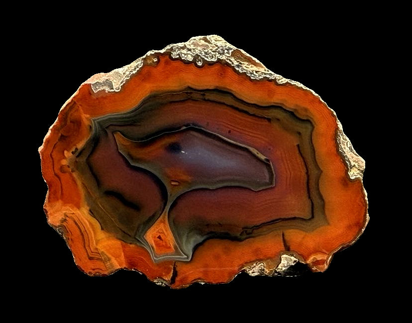 Achat San Rafael Argentinien CONDOR Agate Argentina #A3-8#