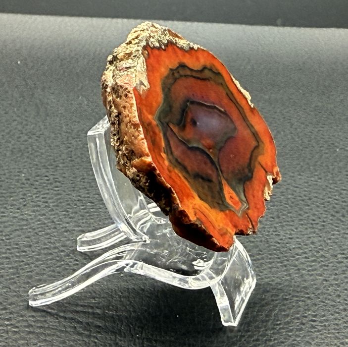 Achat San Rafael Argentinien CONDOR Agate Argentina #A3-8#