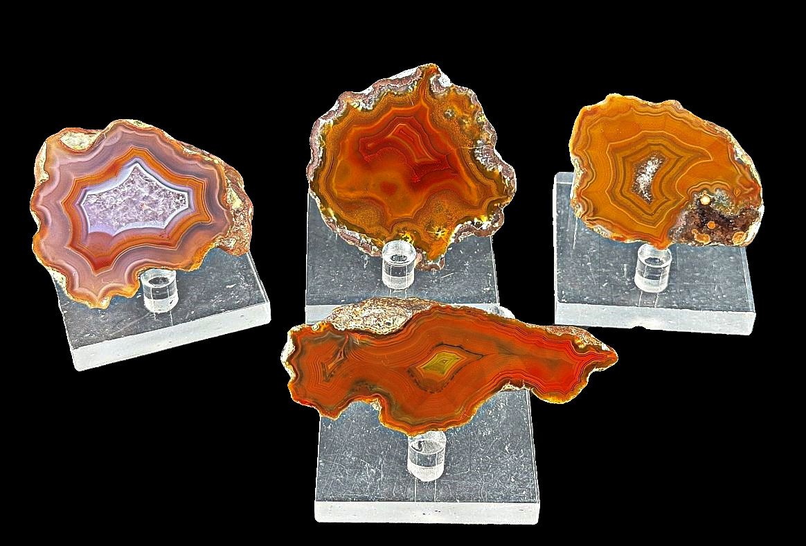 4 x Achat Argentinien San Rafael CONDOR Agate Argentina  #A7-1#
