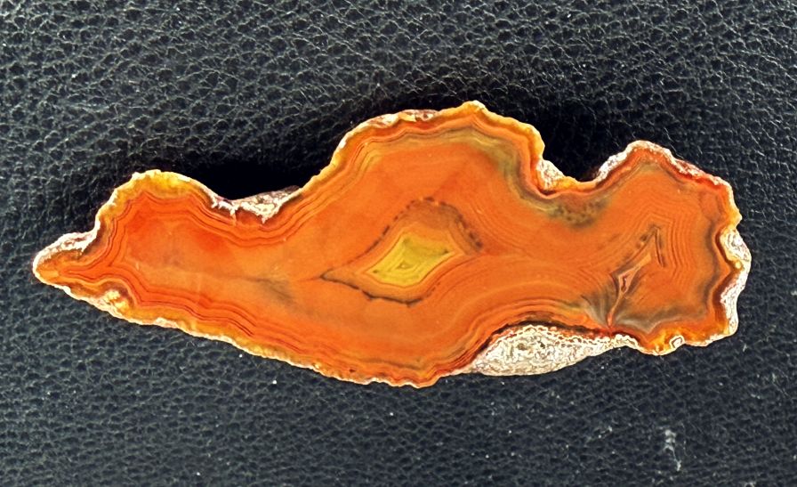 4 x Achat Argentinien San Rafael CONDOR Agate Argentina  #A7-1#