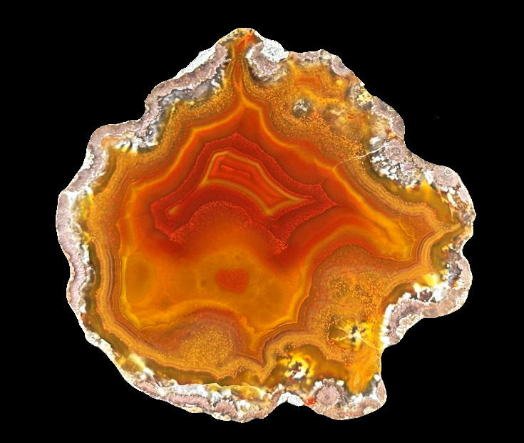 4 x Achat Argentinien San Rafael CONDOR Agate Argentina  #A7-1#