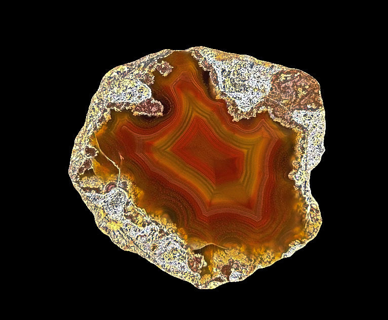 4 x Achat Argentinien San Rafael CONDOR Agate Argentina  #A7-4#