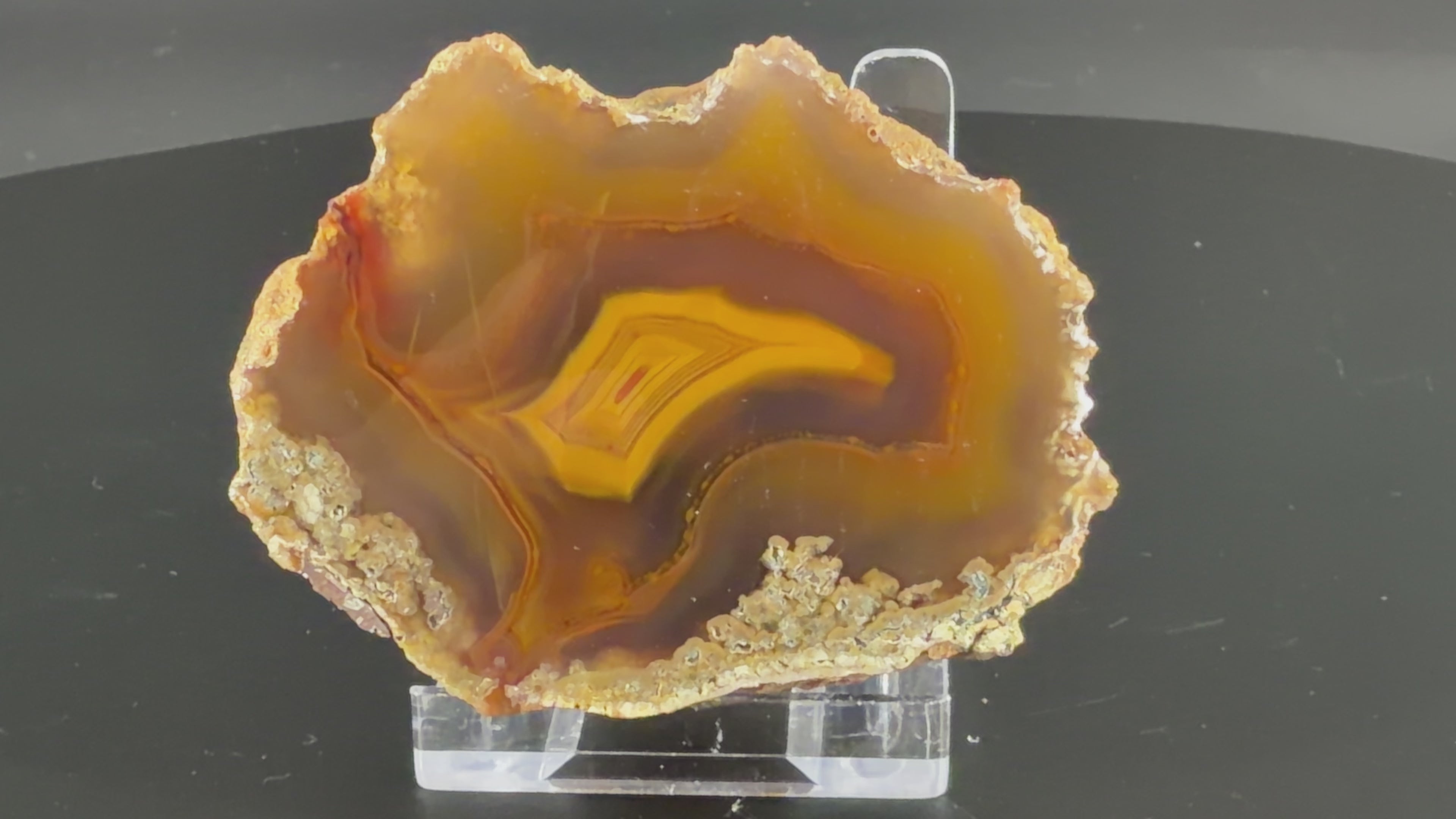 Achat Argentinien San Rafael CONDOR Agate Argentina #A9-10#