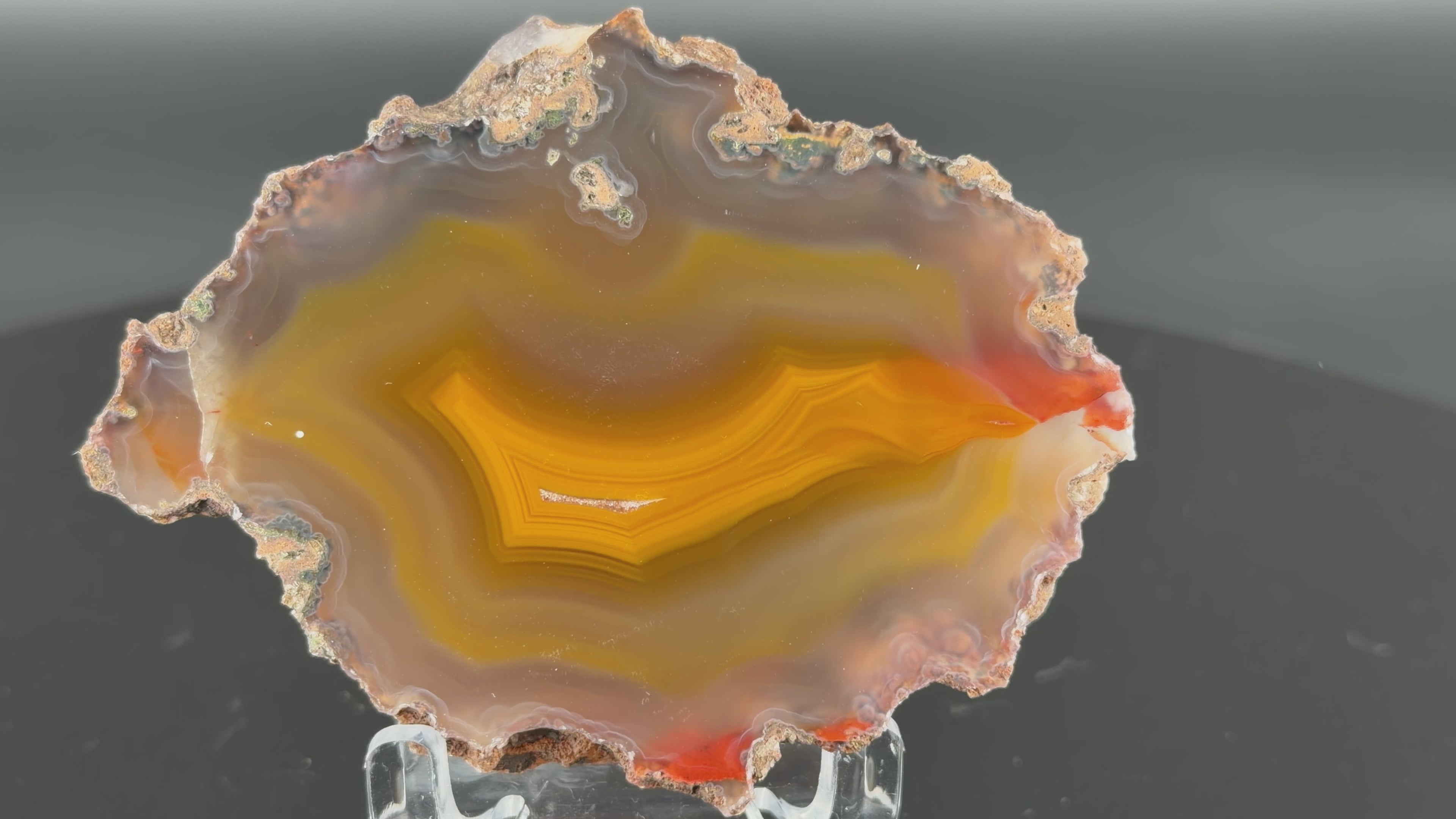 Achat Argentinien San Rafael CONDOR Agate Argentina #A9-3#