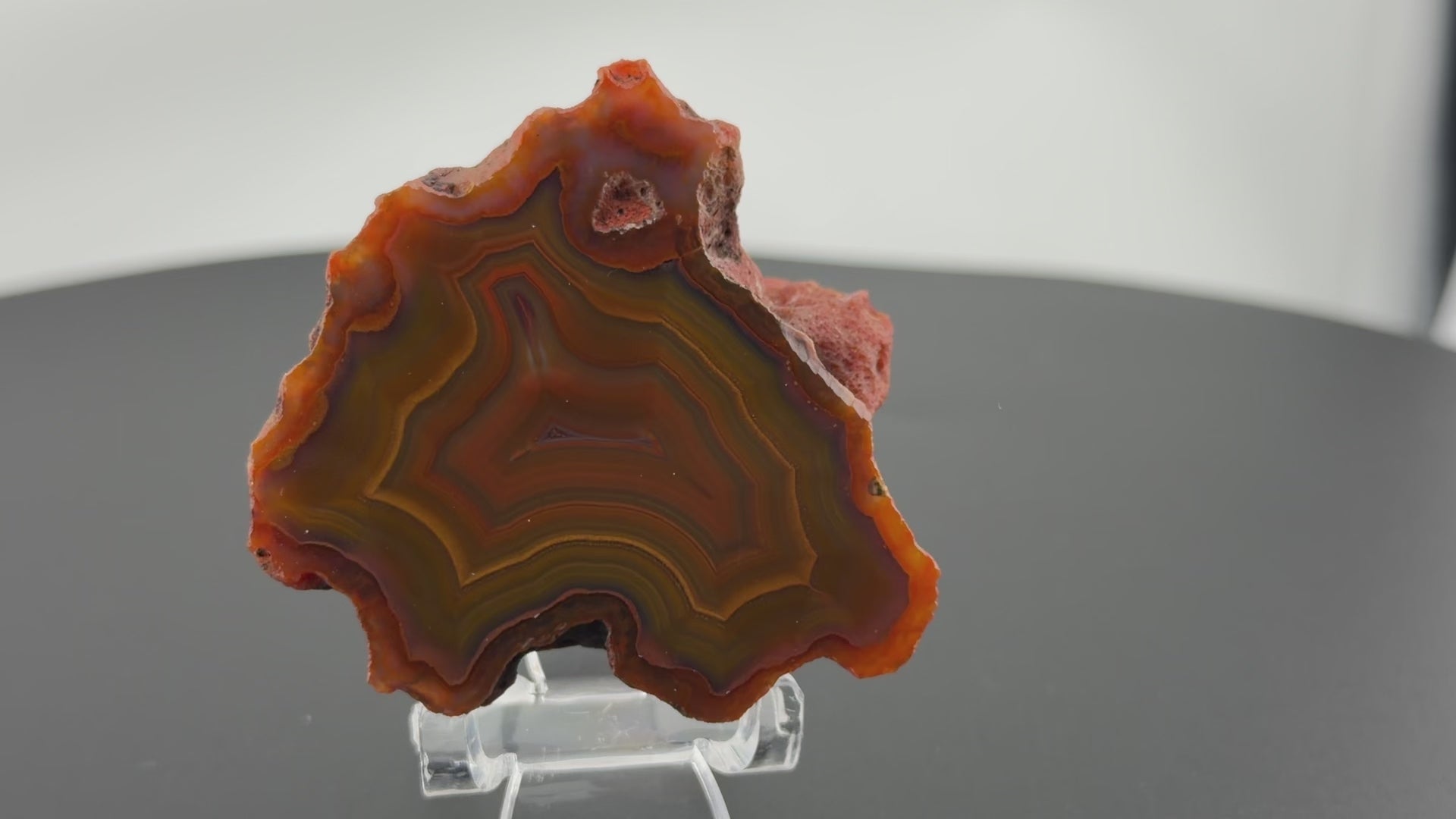 Achat Argentinien San Rafael CONDOR Agate Argentina #A12-13#