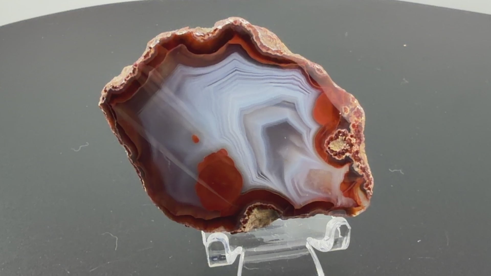 Achat Argentinien San Rafael CONDOR Agate Argentina #A11-12#