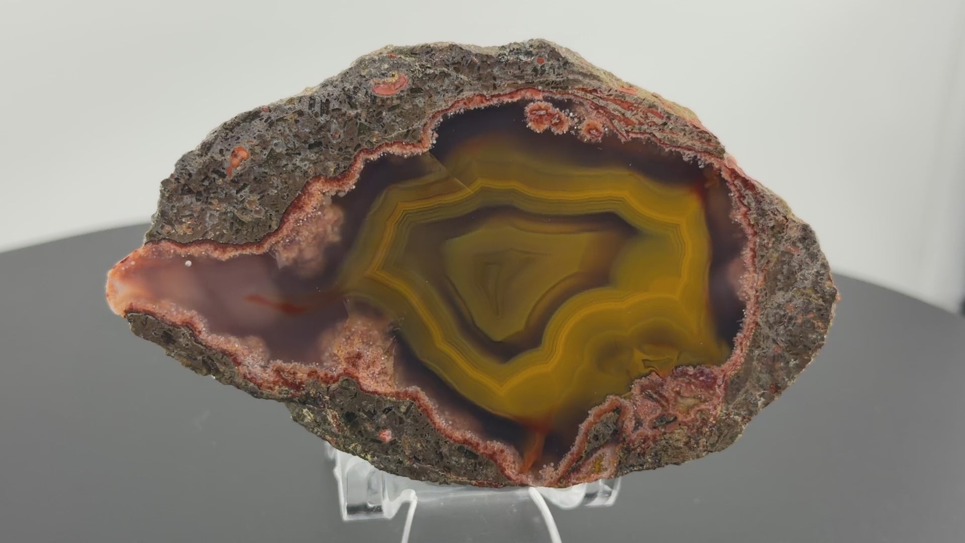 Achat Argentinien San Rafael CONDOR Agate Argentina #A11-4#