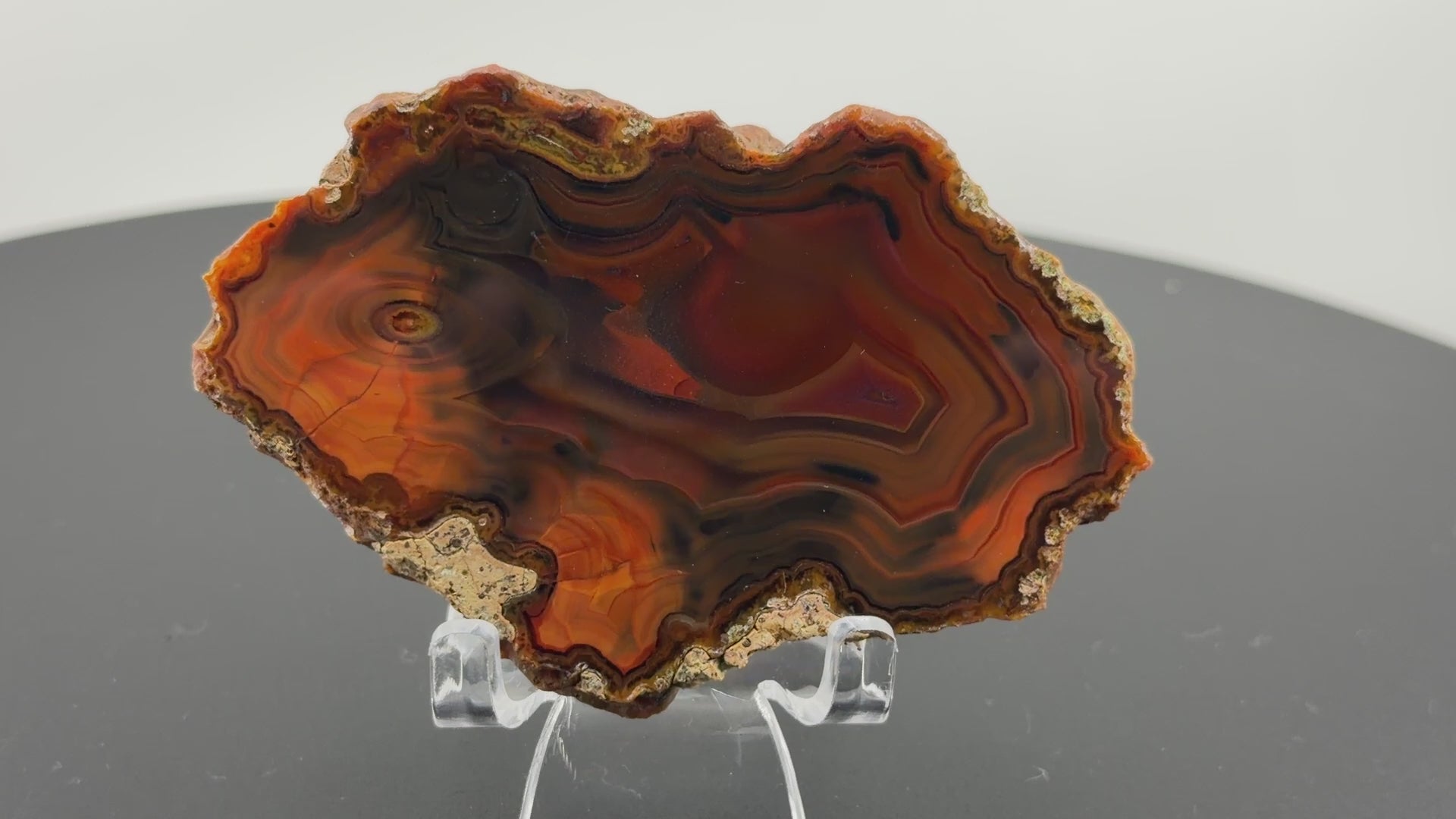 Achat Argentinien San Rafael CONDOR Agate Argentina #A12-1#