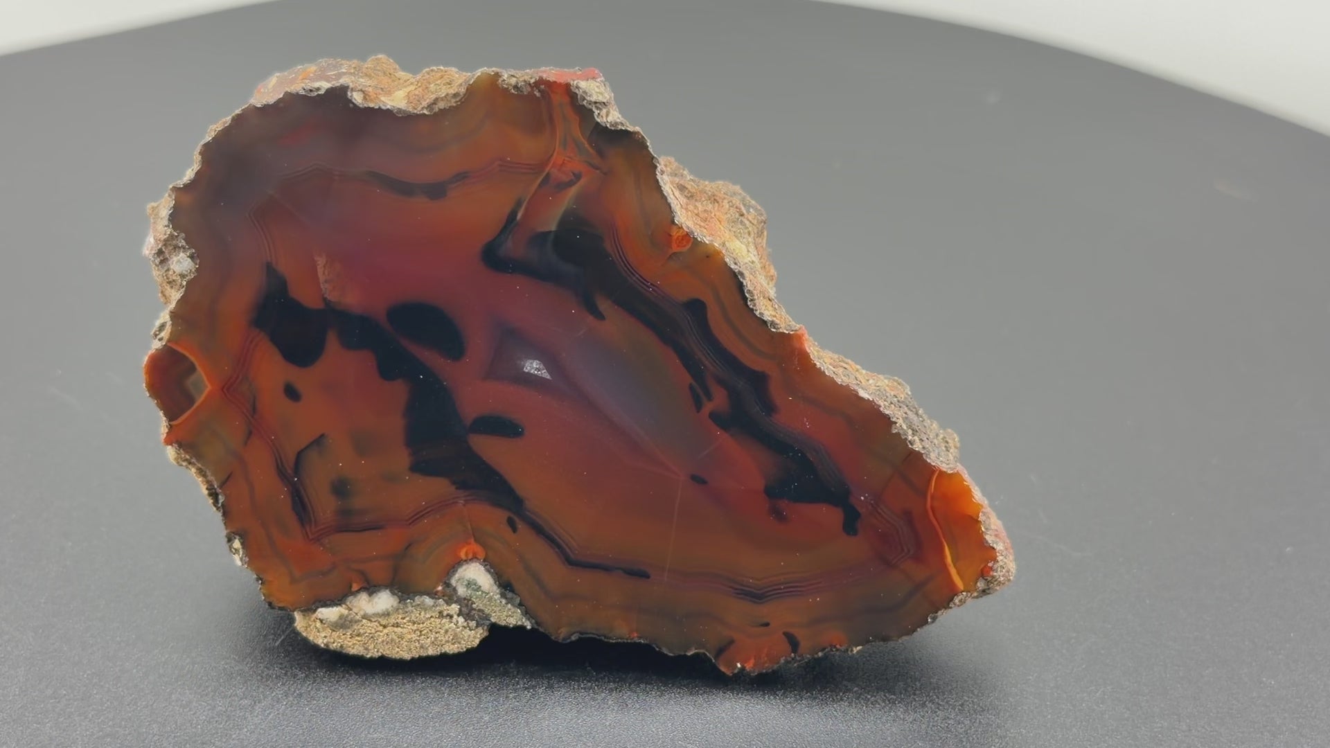 Achat Argentinien San Rafael CONDOR Agate Argentina #A12-5#
