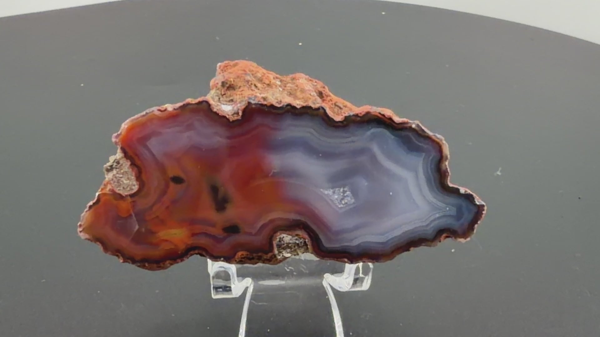 Achat Argentinien San Rafael CONDOR Agate Argentina #A11-9#