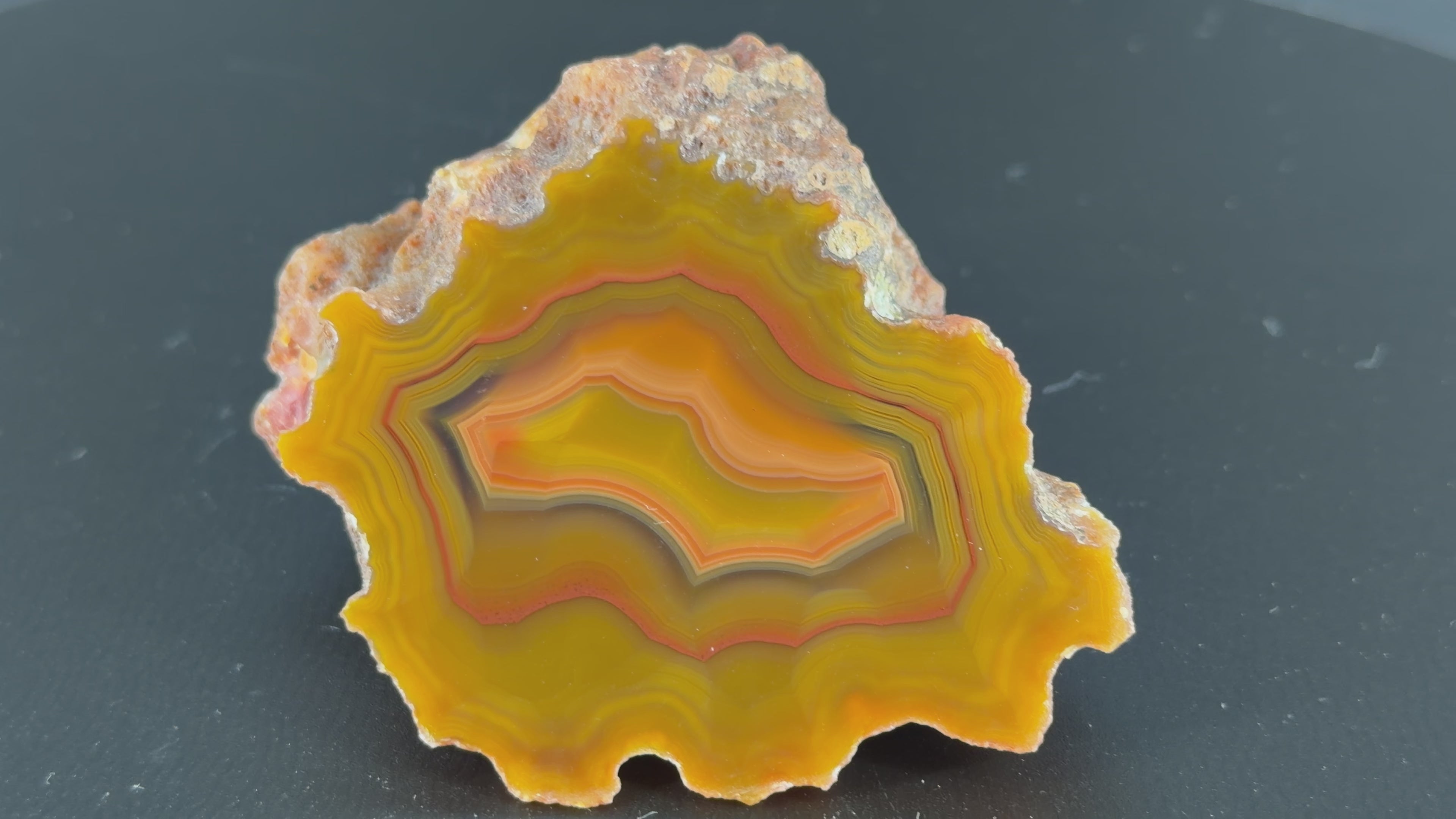 Achat Argentinien San Rafael CONDOR Agate Argentina #A9-2#