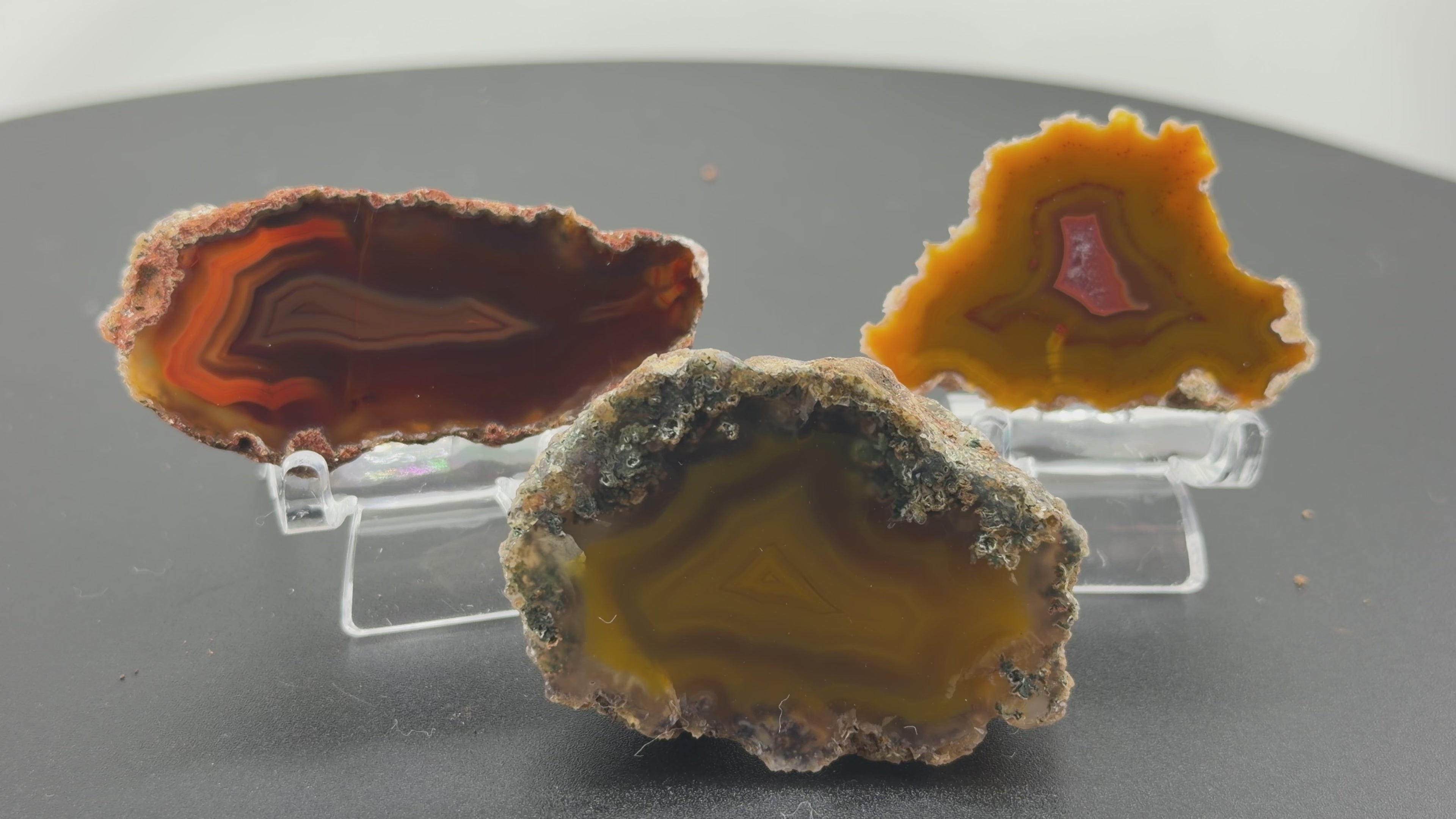 3 x Achat Argentinien San Rafael CONDOR Agate Argentina #A10-21#