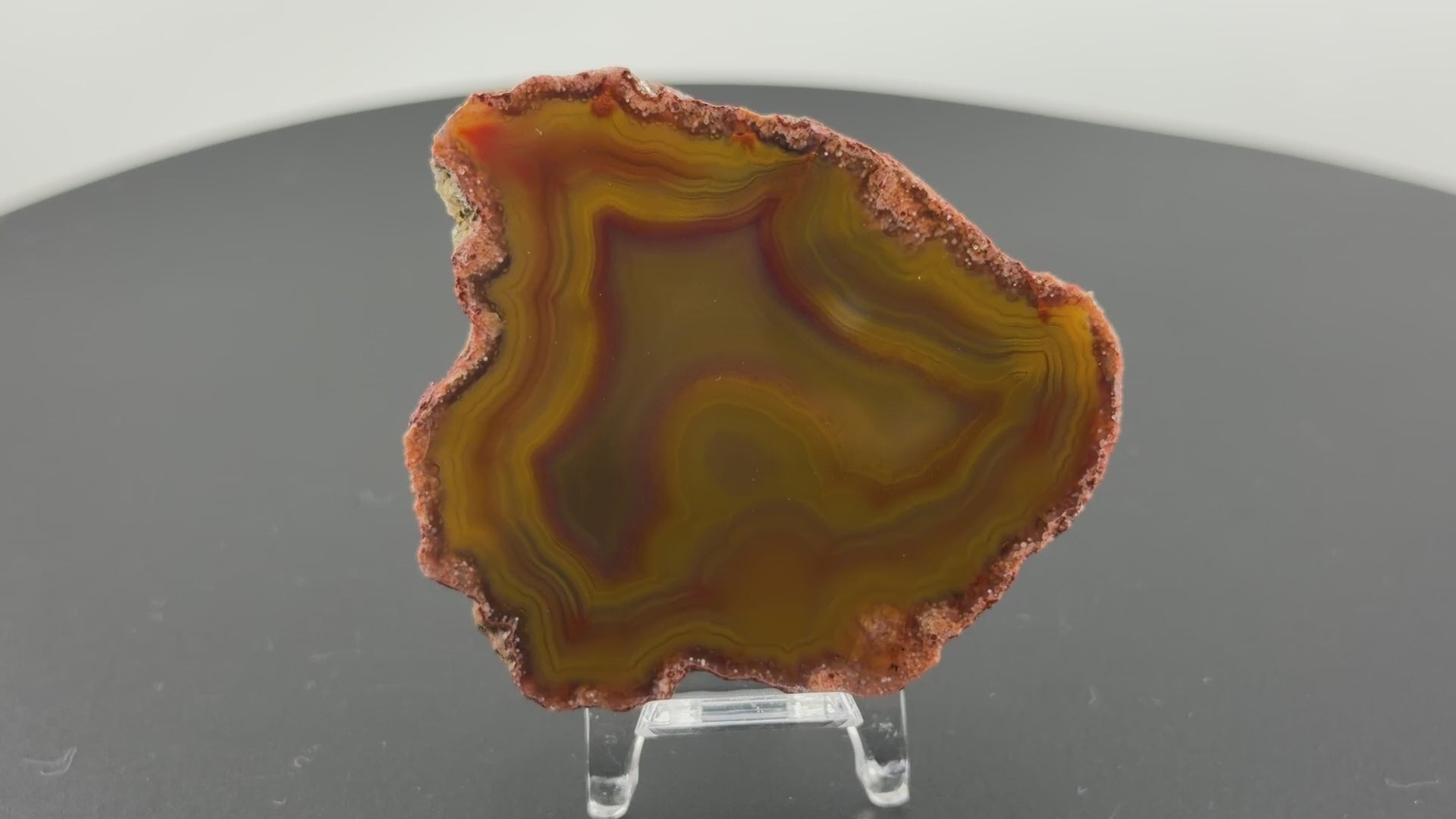 Achat Argentinien San Rafael Condor Agate Argentina #A11-16#