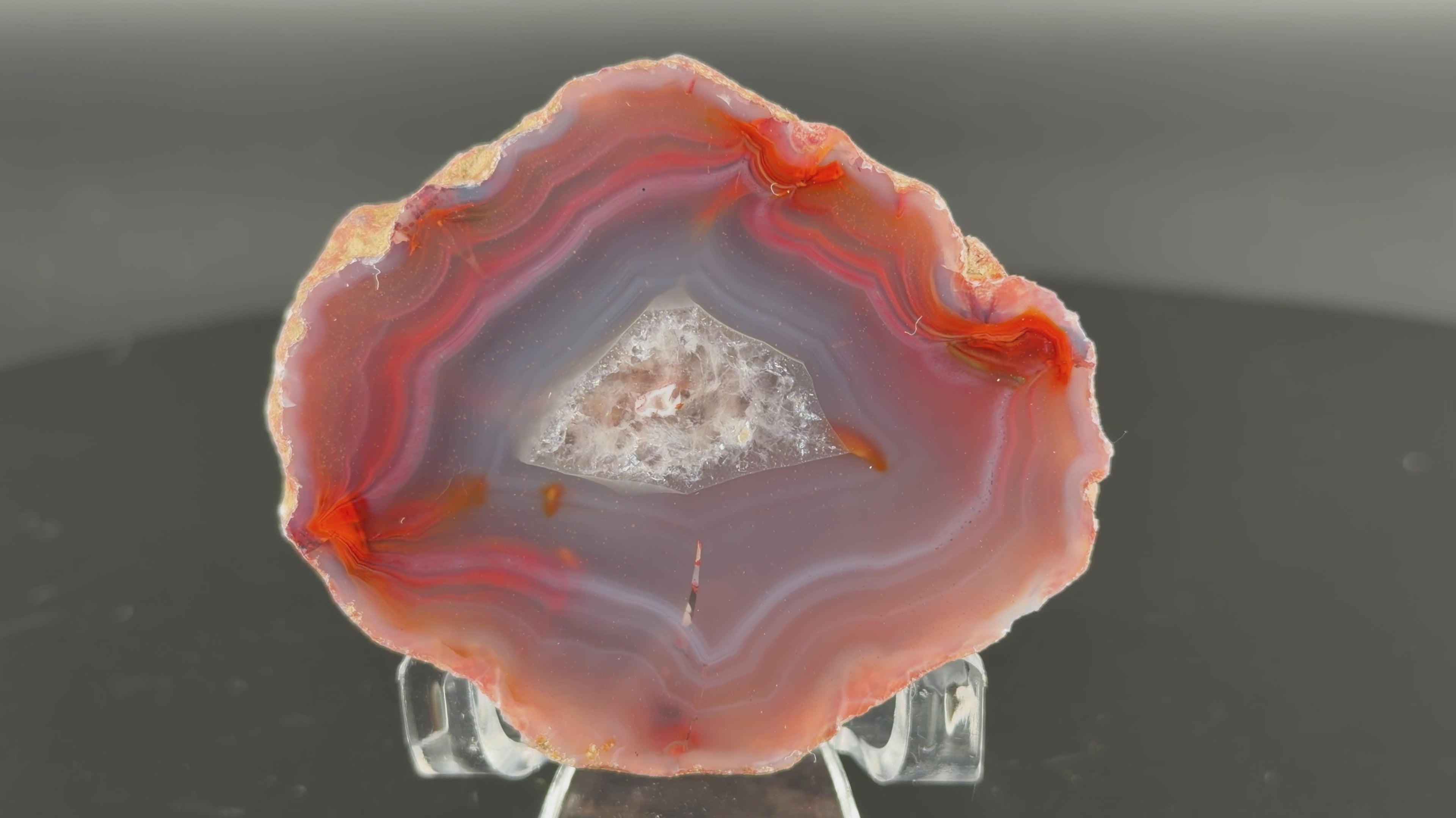 Achat Argentinien San Rafael CONDOR Agate Argentina #A9-11#